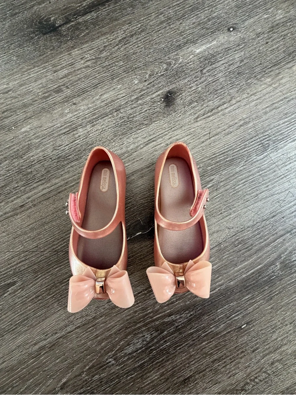 Mini Melissa shiny rose